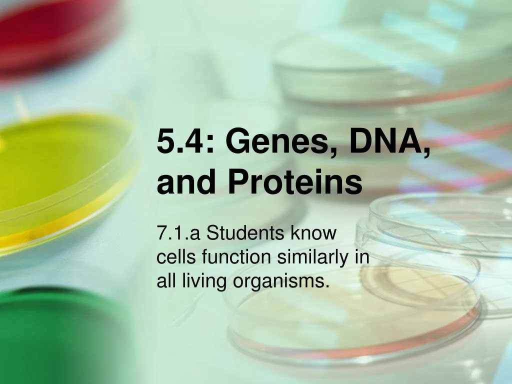 5 4 genes dna and proteins