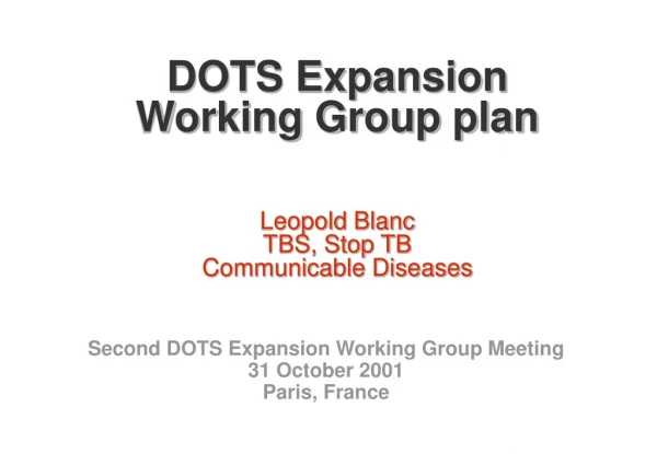 DOTS Expansion  Working Group plan Leopold Blanc TBS, Stop TB Communicable Diseases