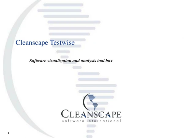 Cleanscape Testwise