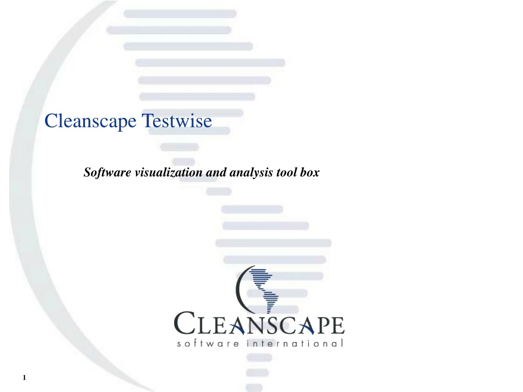 cleanscape testwise