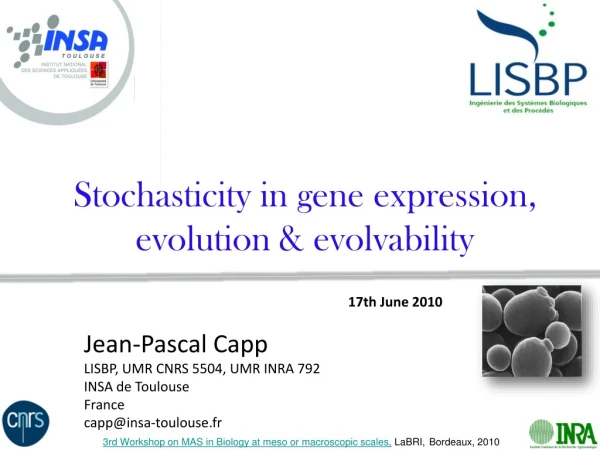 Stochasticity in gene expression, evolution &amp; evolvability