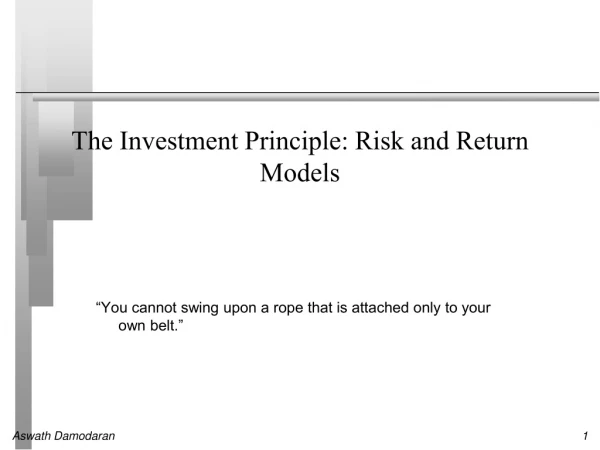The Investment Principle: Risk and Return Models