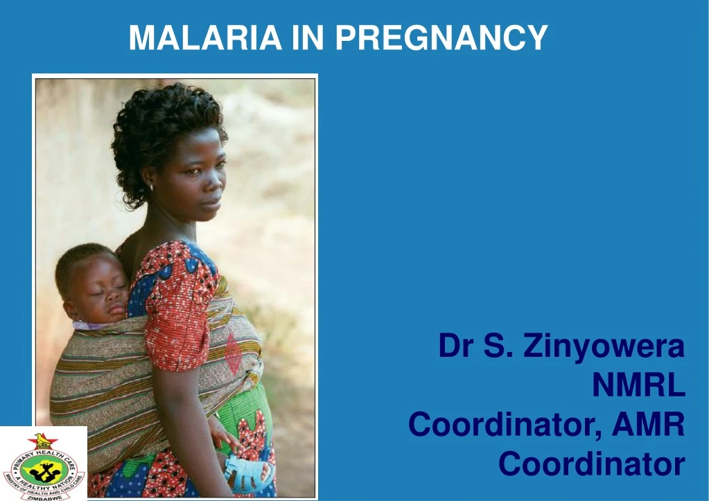 malaria in pregnancy