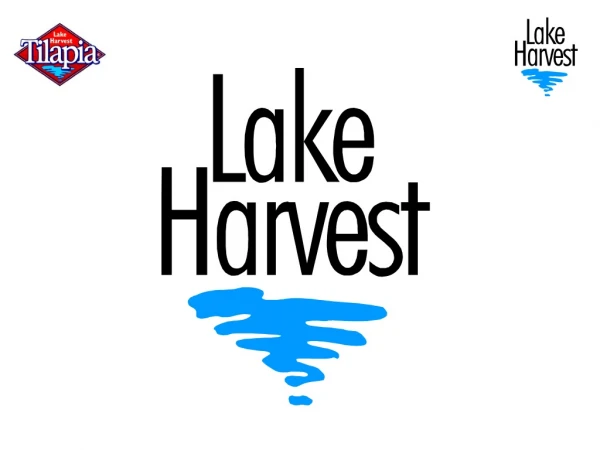 Lake Harvest Group History 92 – 94	Pilot project 94 – 96	Groundwork, permits, EIA, finance