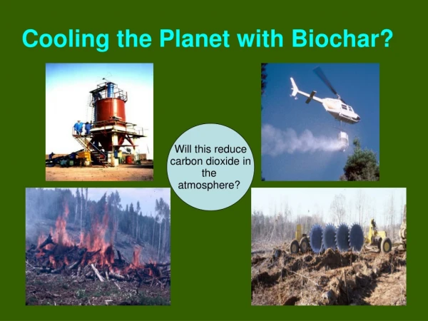 Cooling the Planet with Biochar?