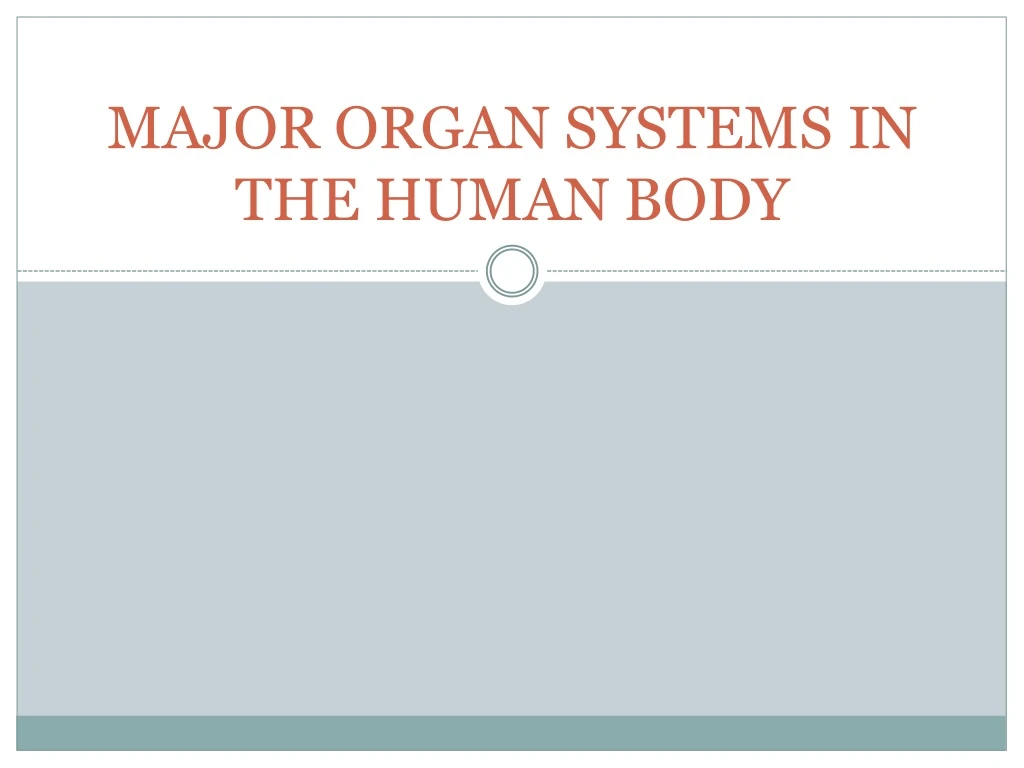 major organ systems in the human body