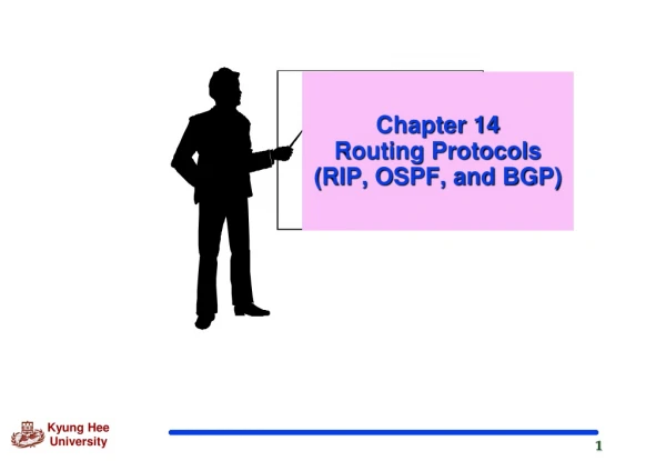 Chapter 14  Routing Protocols (RIP, OSPF, and BGP)