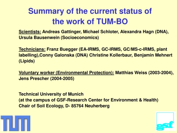Summary of the current status of the work of TUM-BO