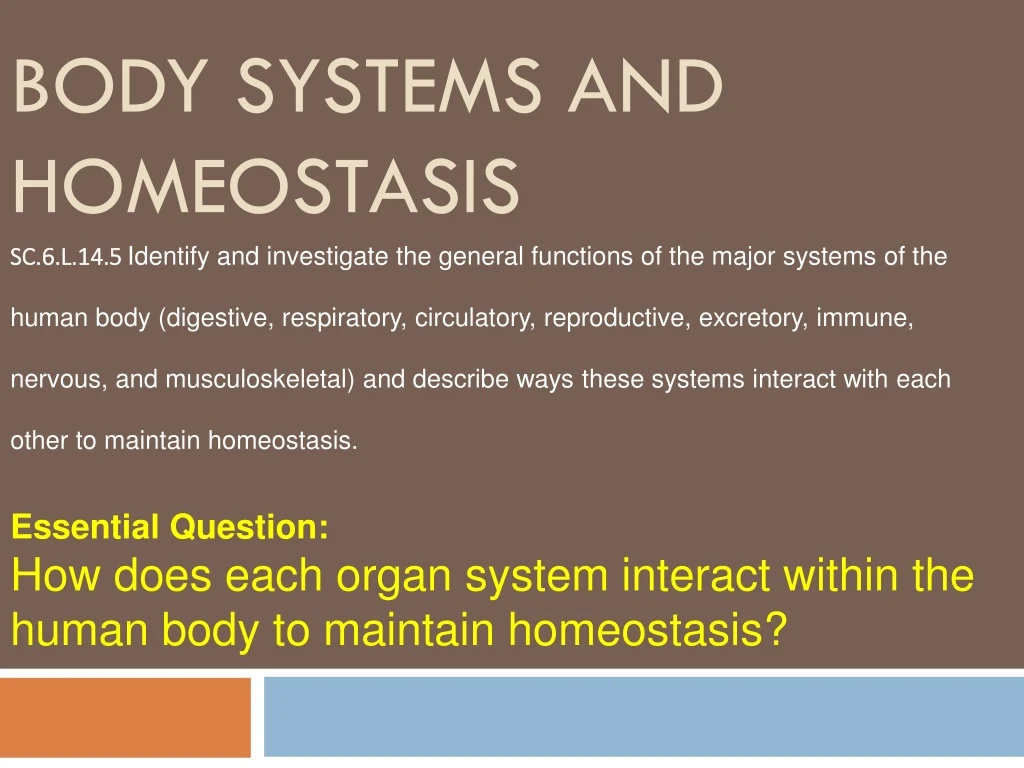 body systems and homeostasis