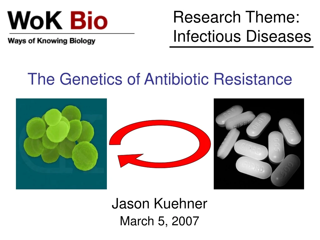 research theme infectious diseases