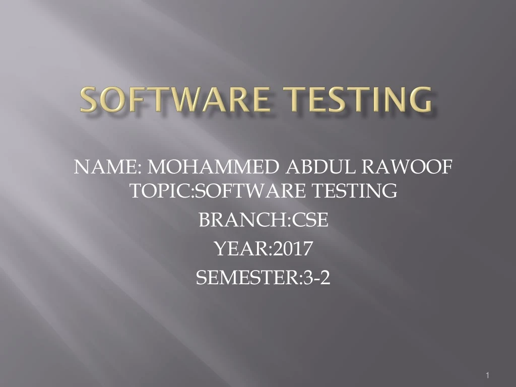 software testing