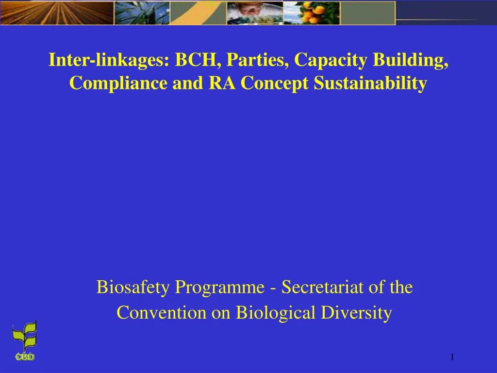 inter linkages bch parties capacity building compliance and ra concept sustainability