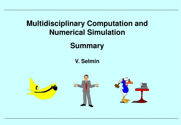 Multidisciplinary Computation and Numerical Simulation Summary V. Selmin