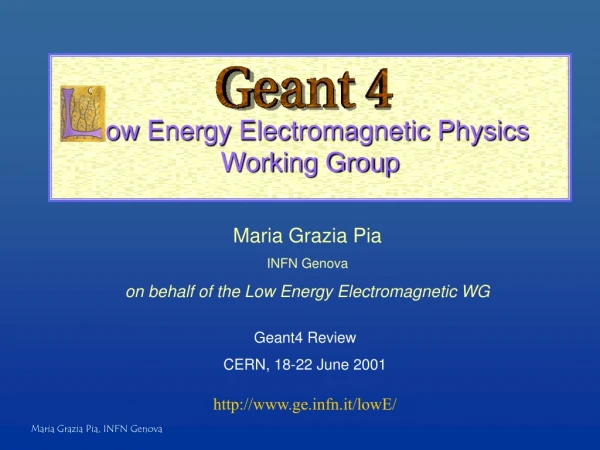 Low  Energy Electromagnetic Physics Working Group