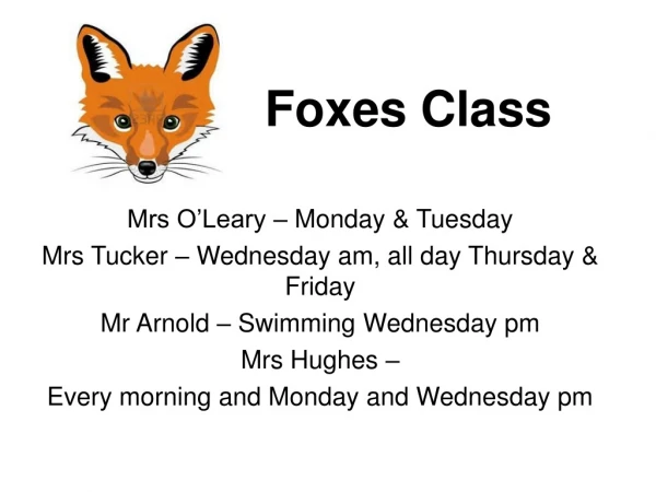 Foxes Class