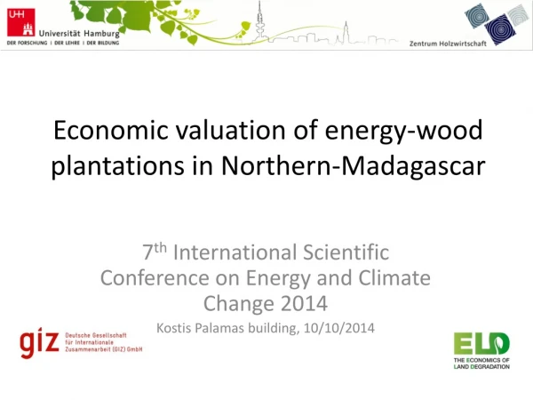 Economic valuation of energy-wood  plantations in  Northern-Madagascar