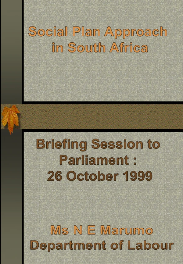 Social Plan Approach  in South Africa Briefing Session to  Parliament :  26 October 1999