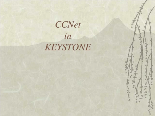 CCNet  in KEYSTONE