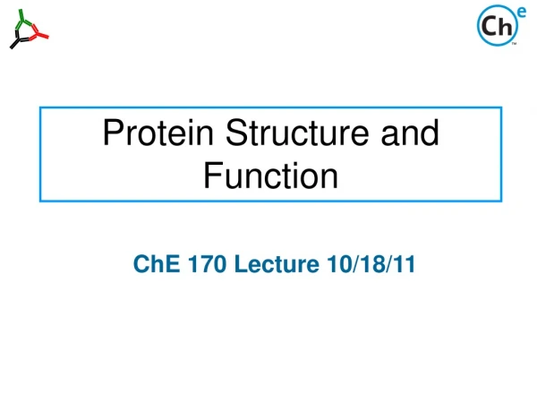 Protein Structure and Function