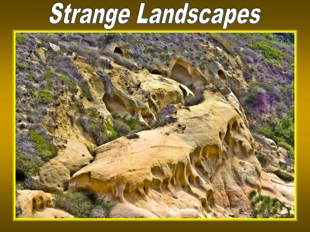 strange landscapes