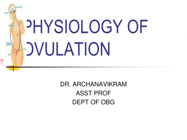 PHYSIOLOGY OF OVULATION