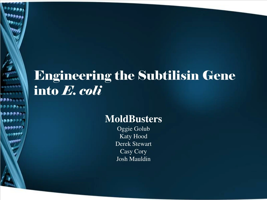 engineering the subtilisin gene into e coli