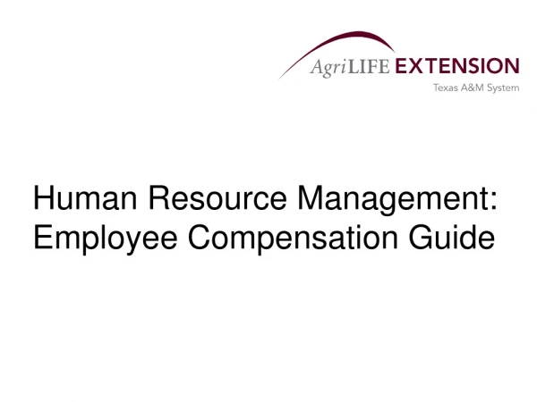 Human Resource Management: Employee Compensation Guide