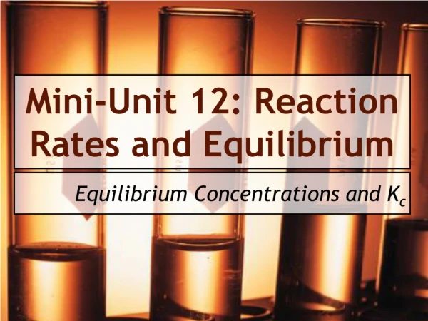 Mini-Unit 12: Reaction Rates and Equilibrium