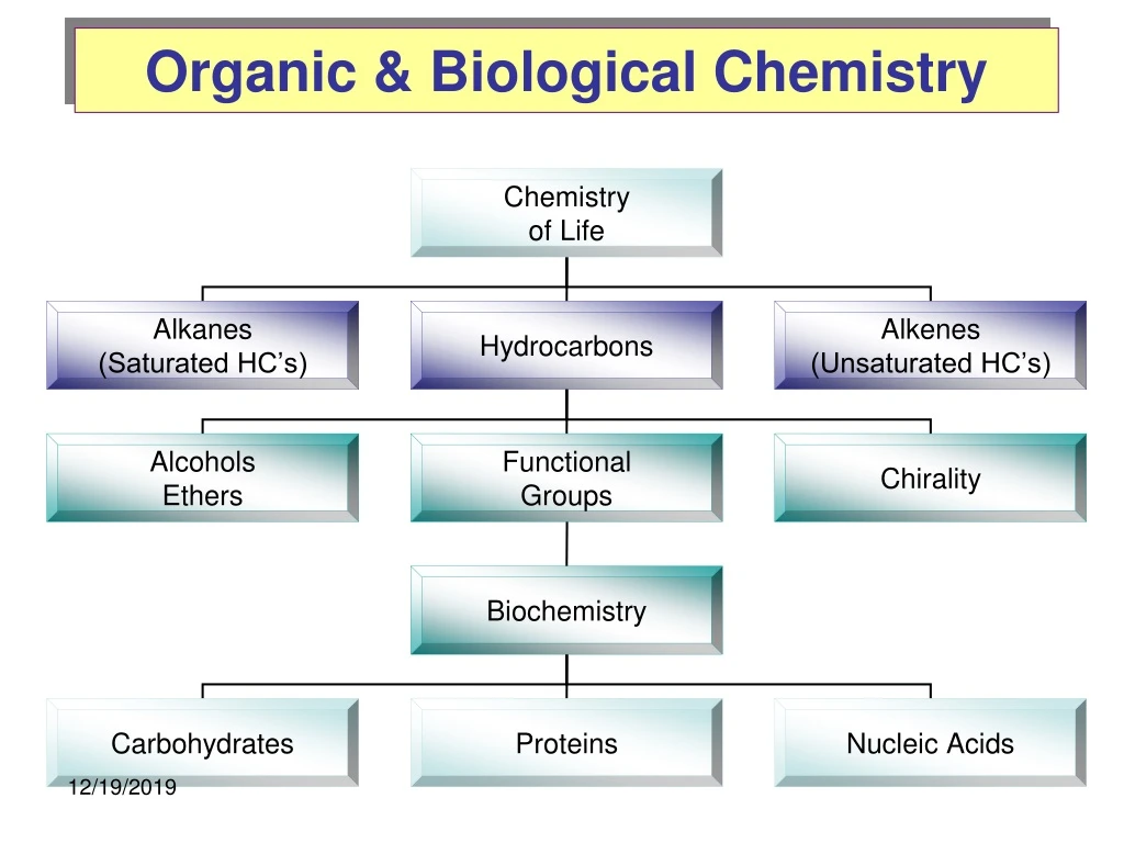 organic biological chemistry