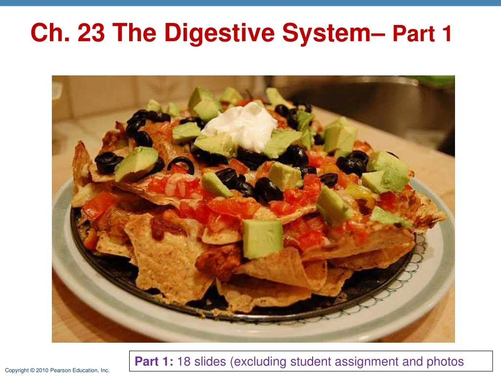 ch 23 the digestive system part 1