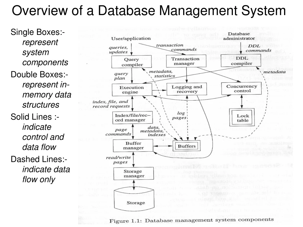 overview of a database management system