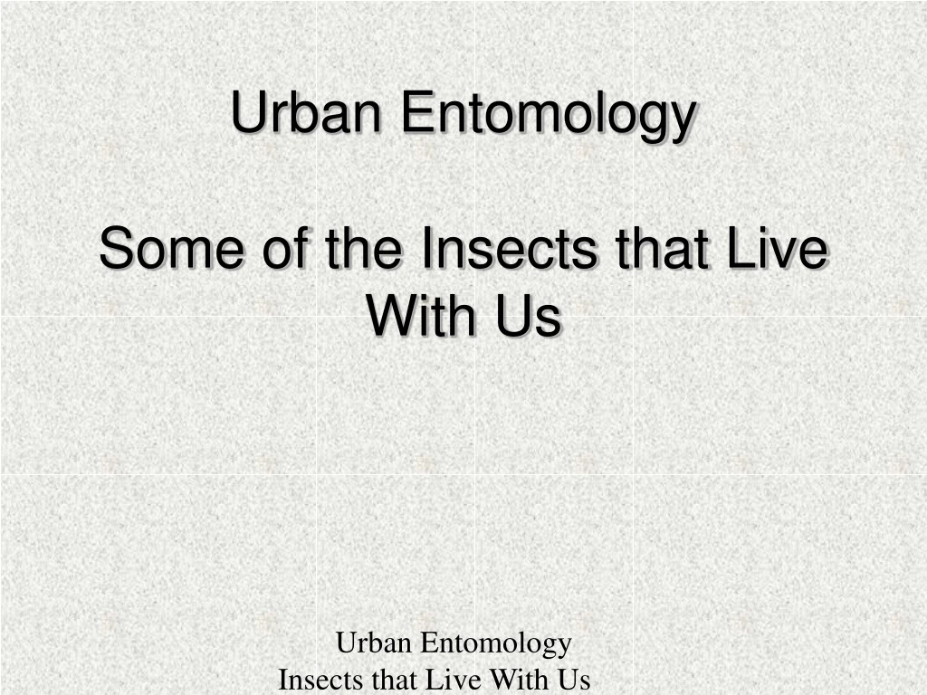 urban entomology some of the insects that live with us