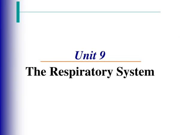 Unit 9 The Respiratory System