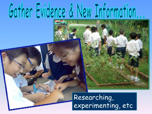 Gather Evidence &amp; New Information...