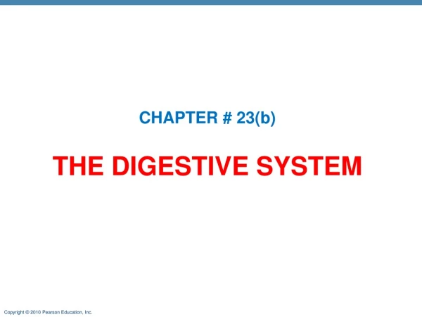 THE DIGESTIVE SYSTEM