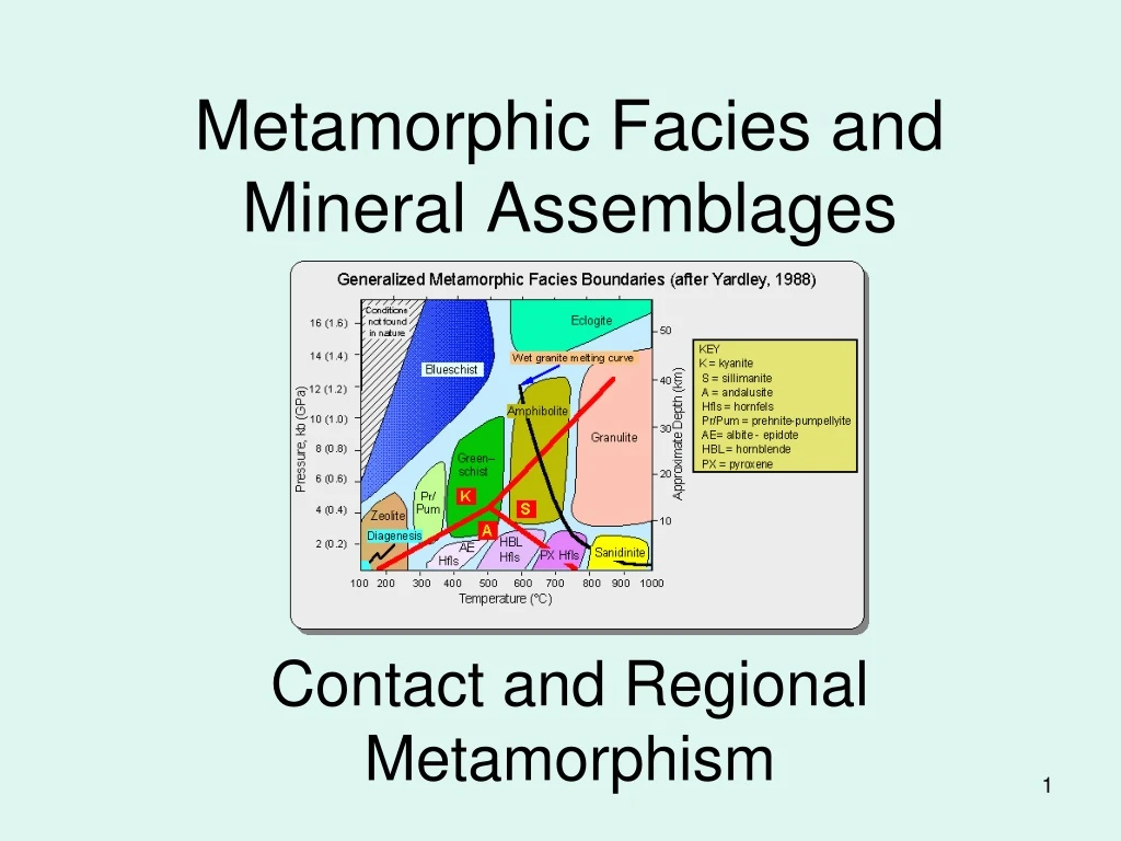 metamorphic facies and mineral assemblages