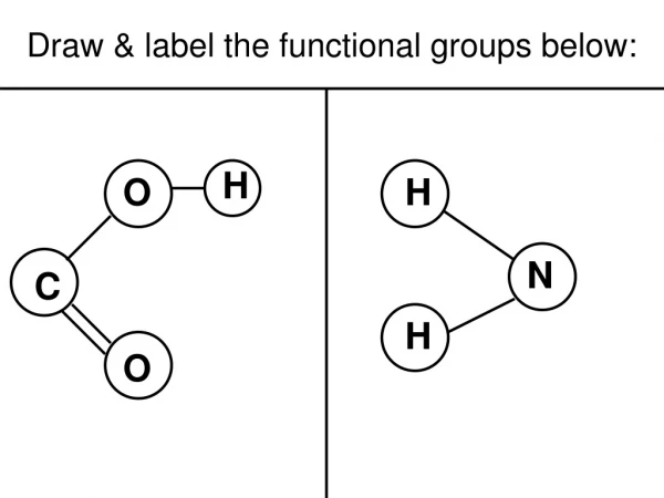 Draw &amp; label the functional groups below: