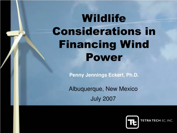 Wildlife Considerations in Financing Wind Power