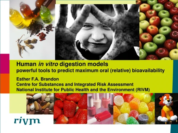 Human  in vitro  digestion models