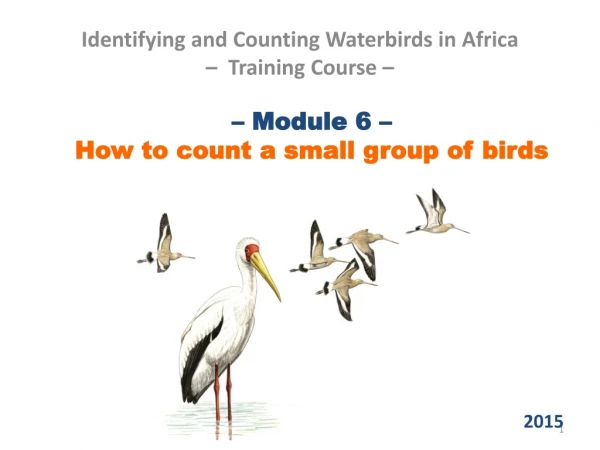 – Module 6 –  How to count a small group of birds