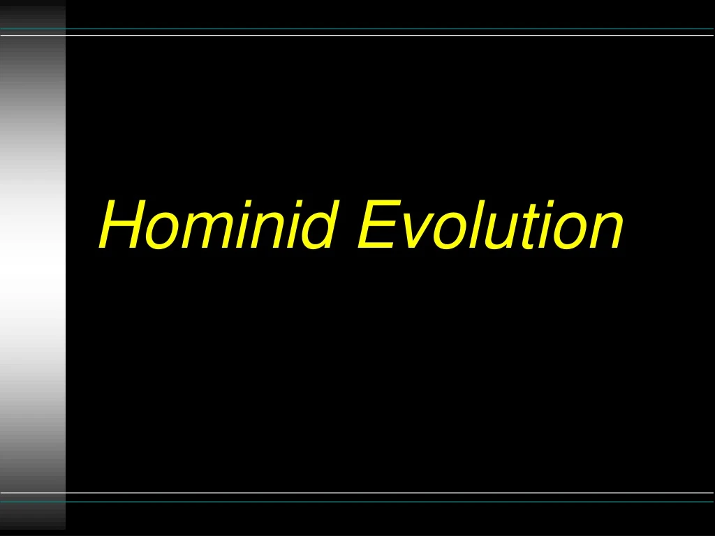 hominid evolution