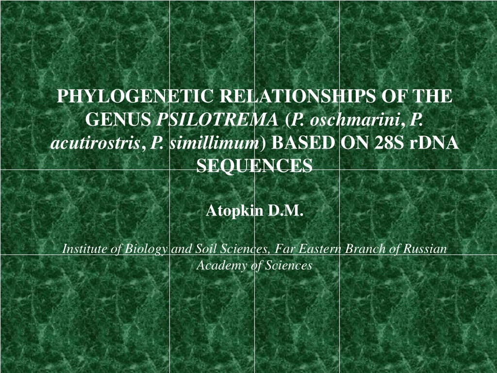 phylogenetic relationships of the genus