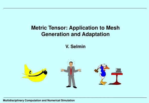 Metric Tensor: Application to Mesh Generation and Adaptation V. Selmin