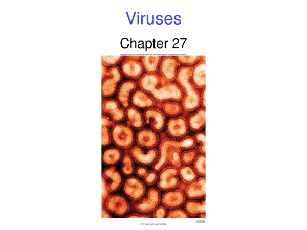 Viruses