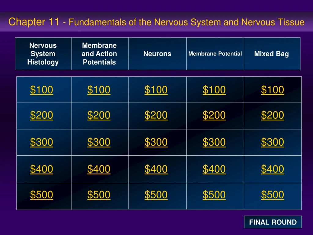 chapter 11 fundamentals of the nervous system and nervous tissue