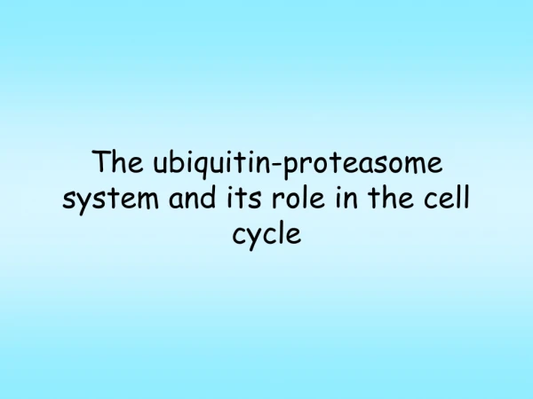 The ubiquitin-proteasome system and its role in the cell cycle