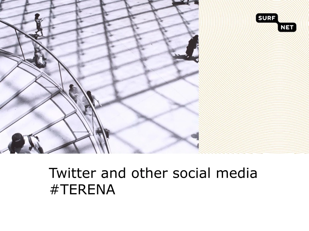 twitter and other social media terena