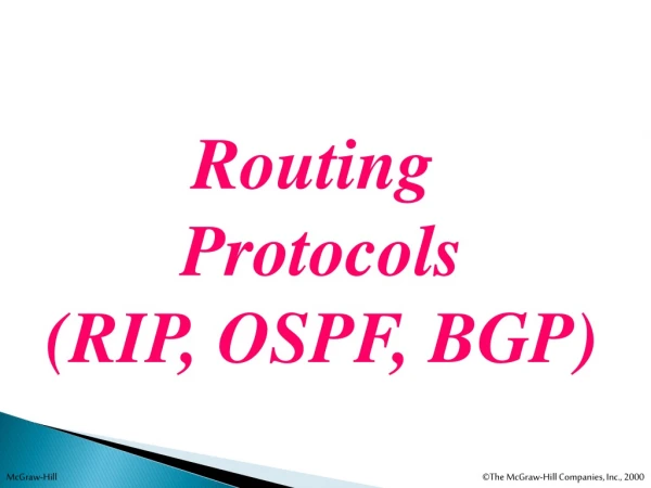 Routing  Protocols (RIP, OSPF, BGP)