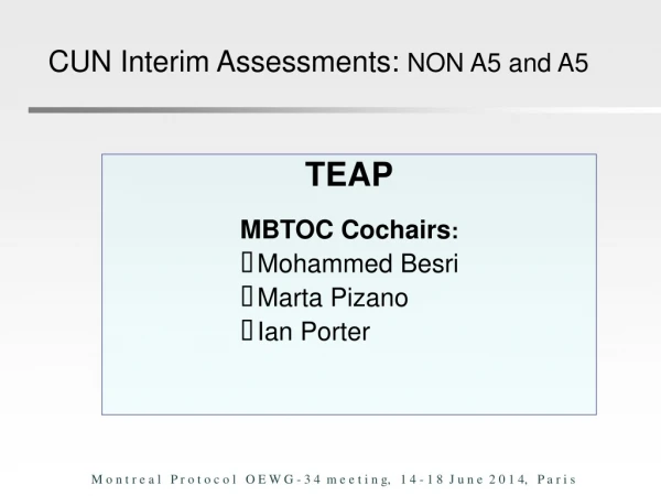 TEAP 	               MBTOC Cochairs :   Mohammed Besri Marta Pizano Ian Porter