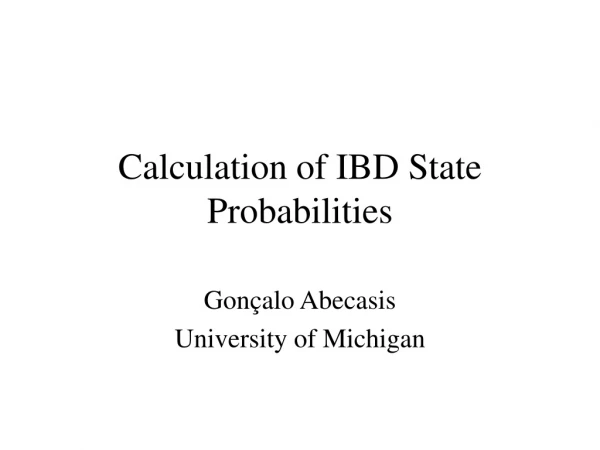 Calculation of IBD State Probabilities